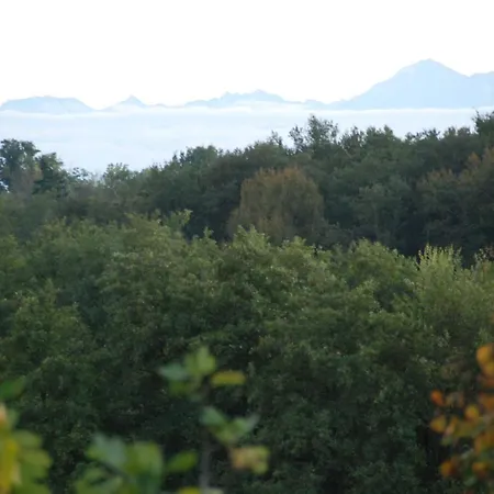 Domaine Sainte Barthe, Entre Marciac Et Nogaro
