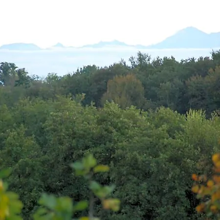 Domaine Sainte Barthe, Entre Marciac Et Nogaro Aignan