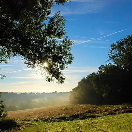 Domaine Sainte Barthe, Entre Marciac Et Nogaro
