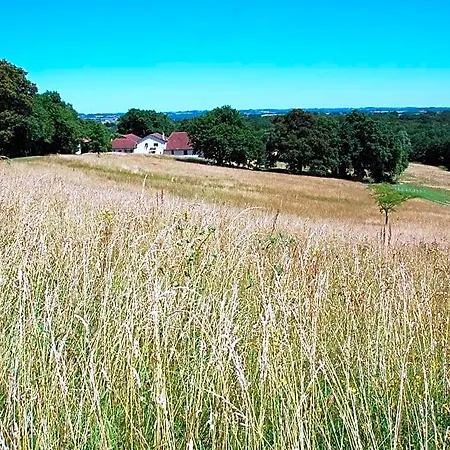 Domaine Sainte Barthe, Entre Marciac Et Nogaro 4* Aignan