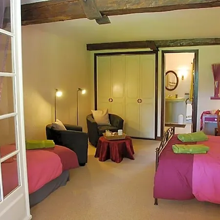 Domaine Sainte Barthe, Entre Marciac Et Nogaro 4* Aignan